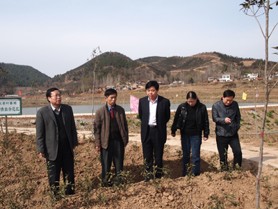 廣義茶基地標(biāo)準(zhǔn)園建安排部署2011年中部三省大別山茶產(chǎn)業(yè)會(huì)議