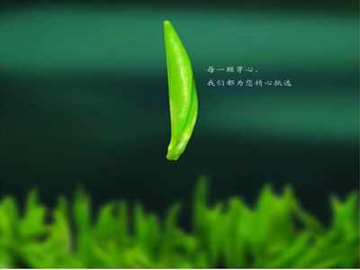 2011廣義牌信陽(yáng)毛尖新茶上市啦