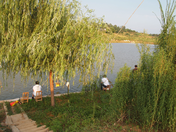 簡單生活，魚樂其中