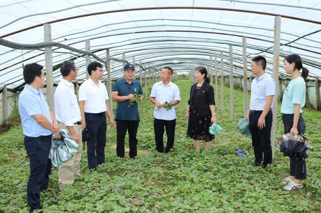 點擊瀏覽下一頁