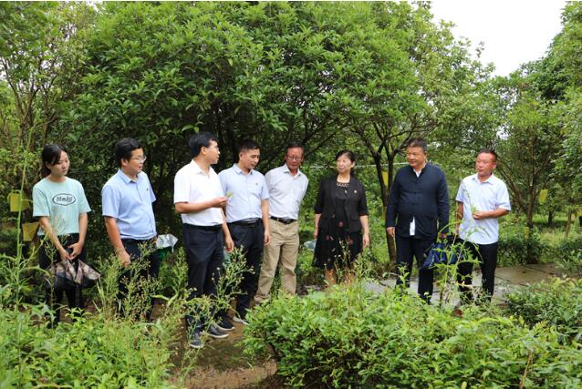 點擊瀏覽下一頁